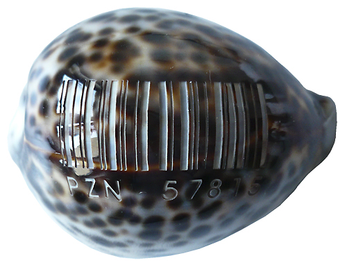 010b Inventur der Arten 02