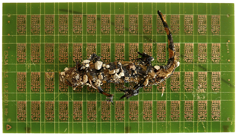 017 Steinzeit - Digitalzeit