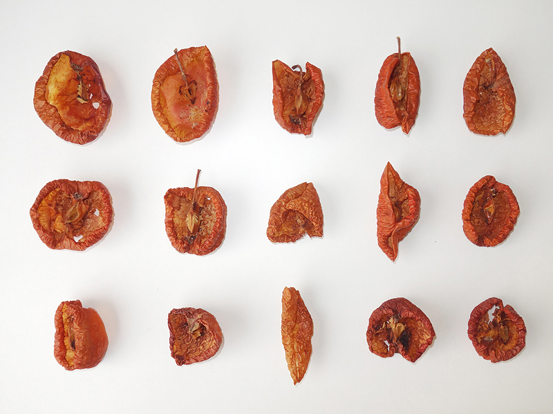 301 Leiharbeit.Zeitarbeit . Von Wespen erschaffenes Objekt - Po