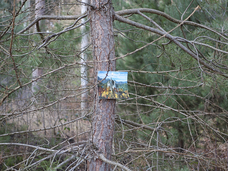 30 Minuten hin, 30 Minuten zurck... Fotografie