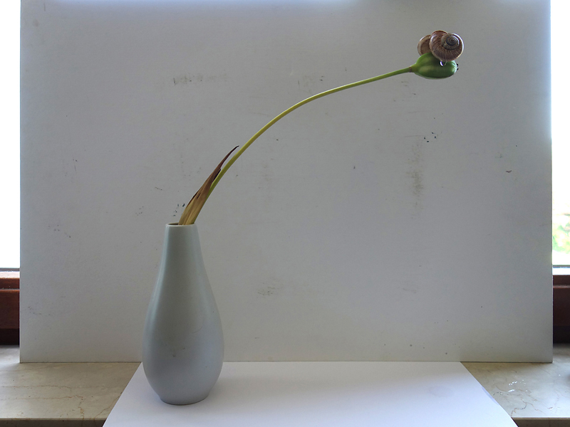 331 Ausbalancierung 01 mit Tropfen