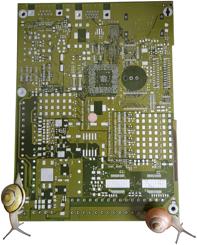 64 Die Entstehung der Arten II