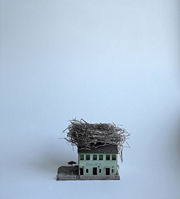 Nest - Haus (3)