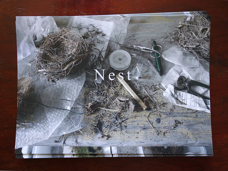 Nest 07