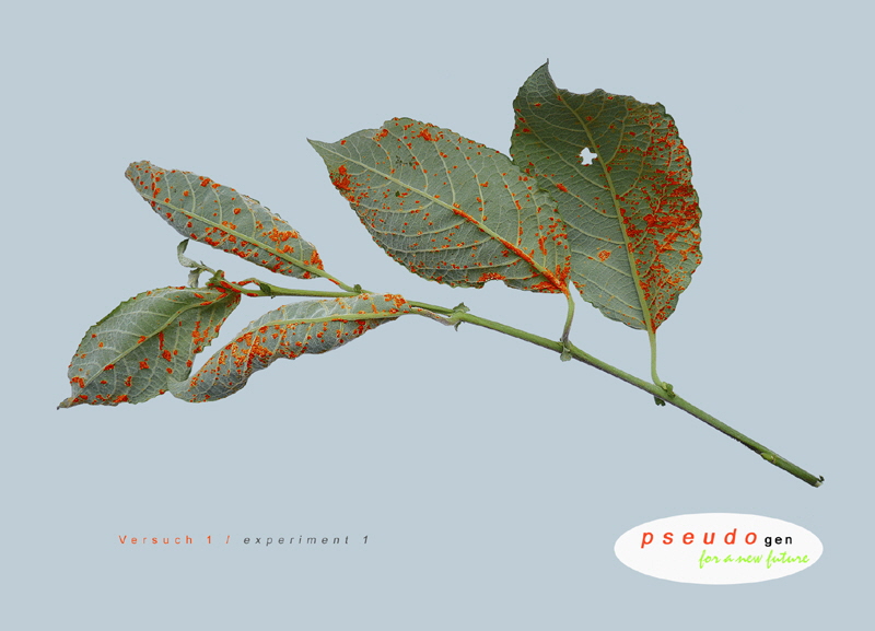0010 pseudogen