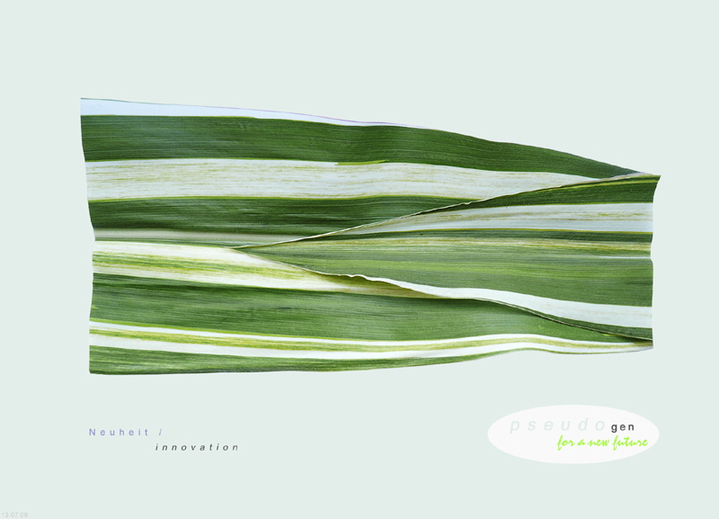 0038 pseudogen