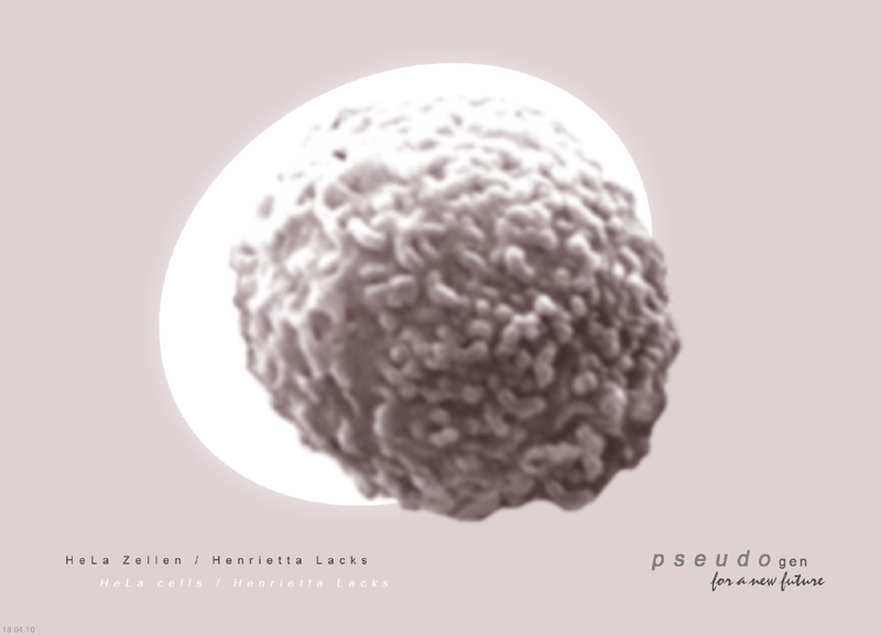 0085 pseudogen
