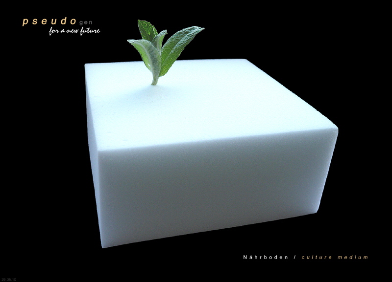 0086 pseudogen