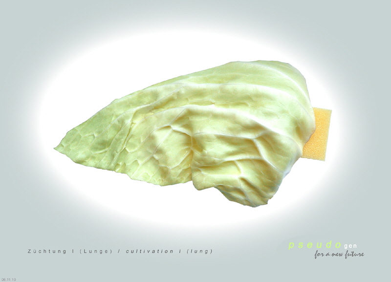 0092 pseudogen