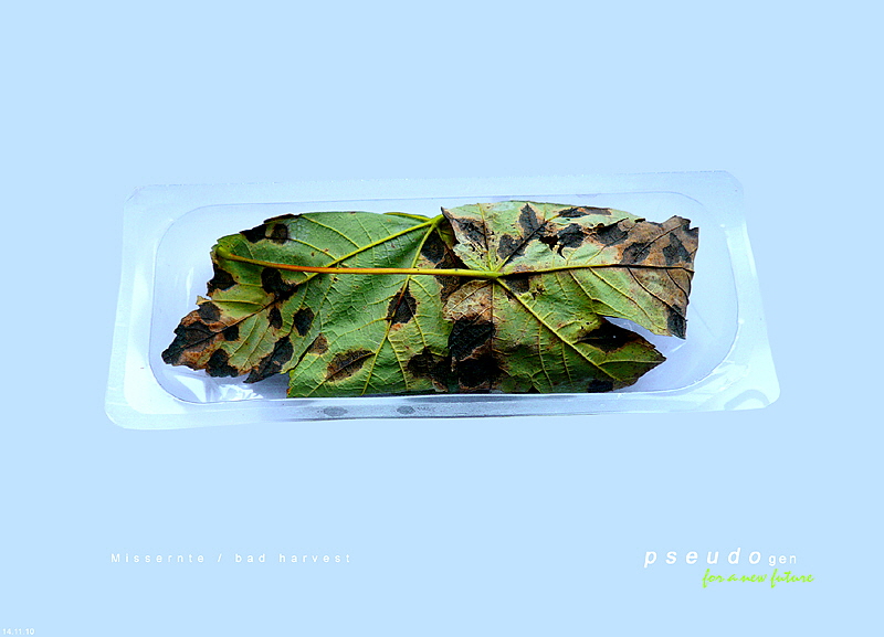 0094 pseudogen