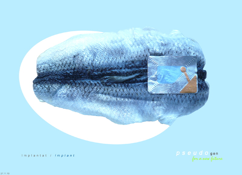 0095 pseudogen
