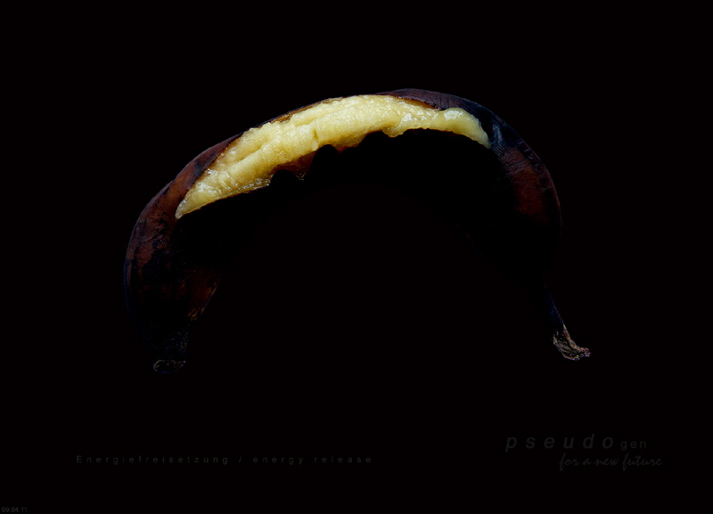 0106 pseudogen