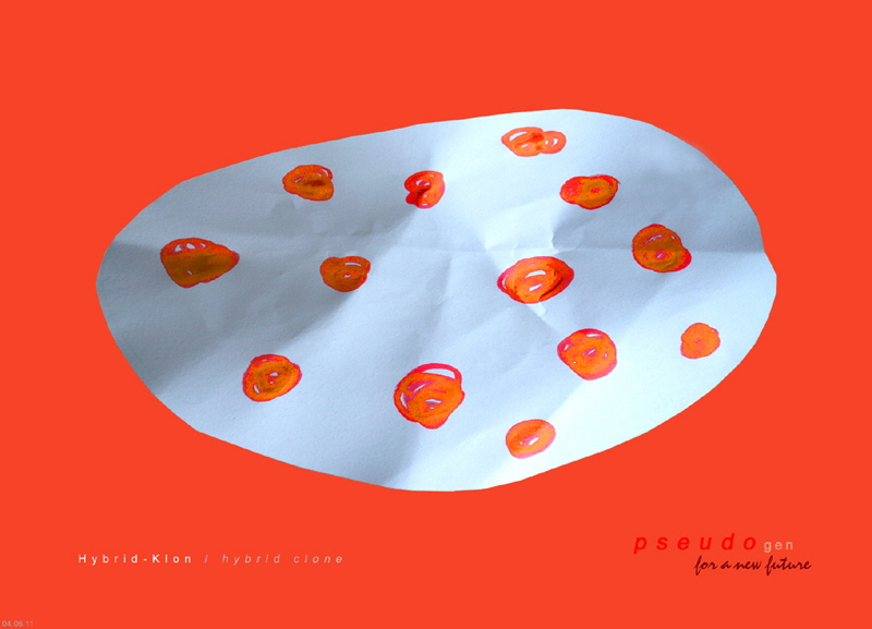 0114 pseudogen