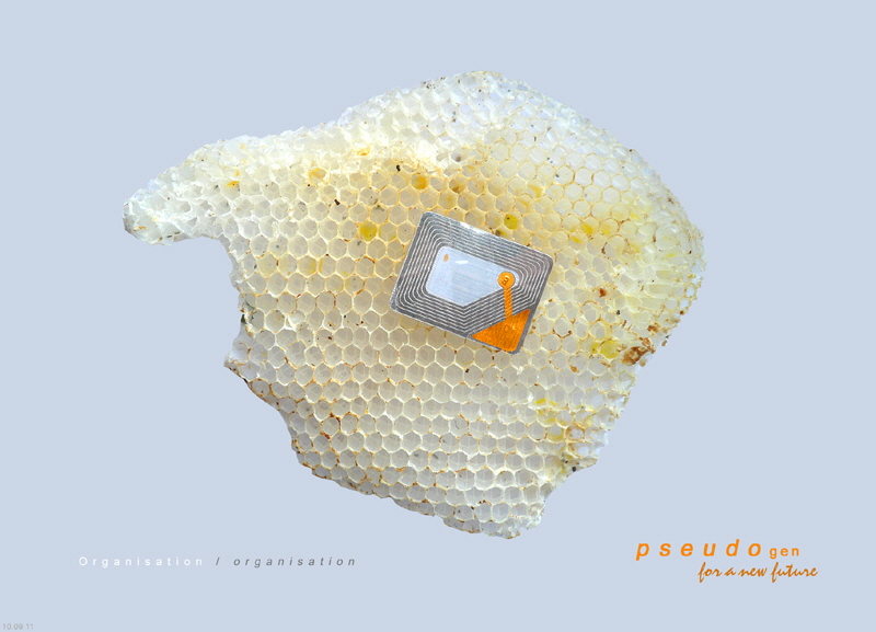 0120 pseudogen