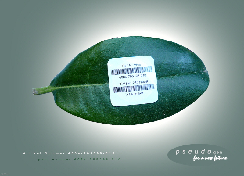 0136 pseudogen
