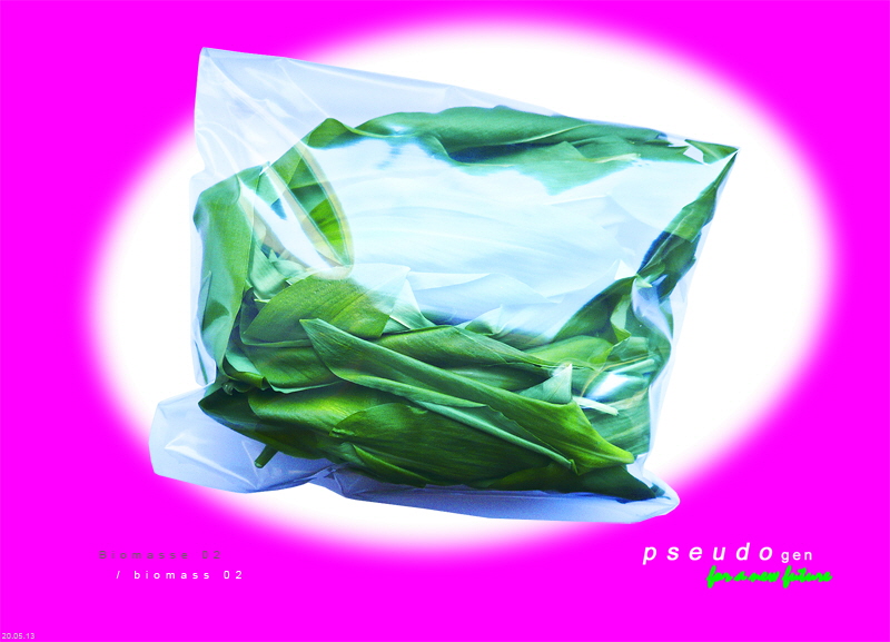 0154  pseudogen