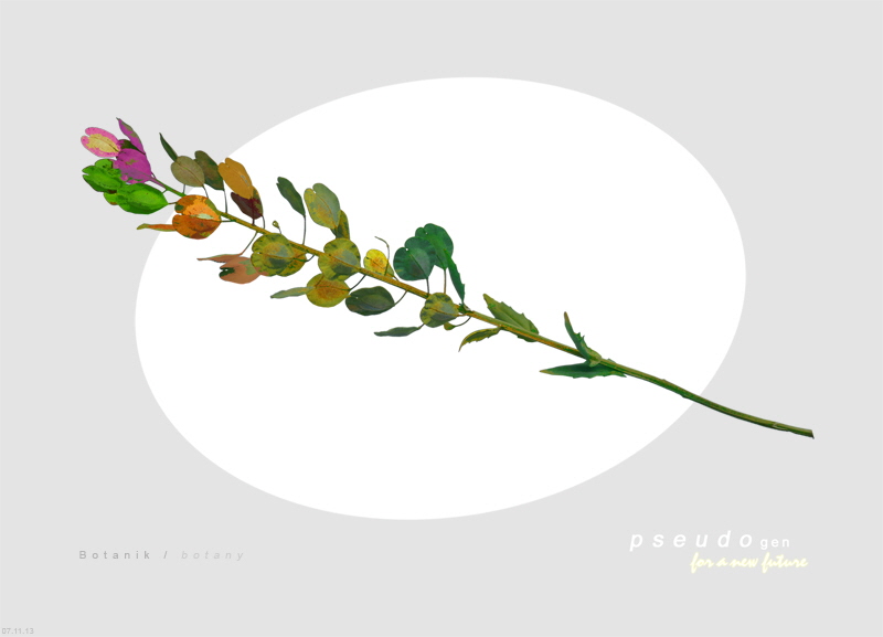 0165  pseudogen