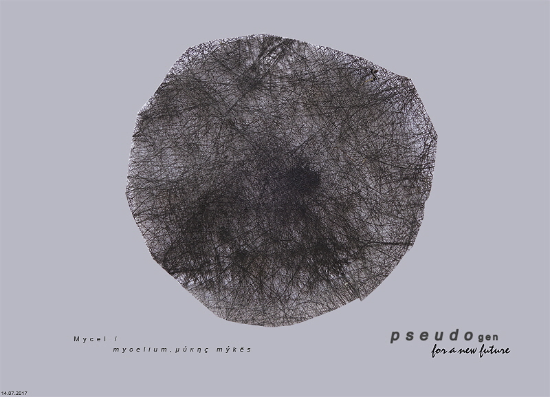 217 - pseudogen