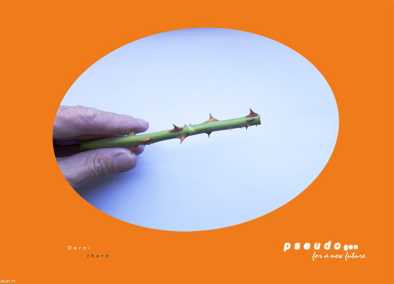 218 - pseudogen