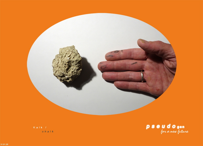 244 - pseudogen