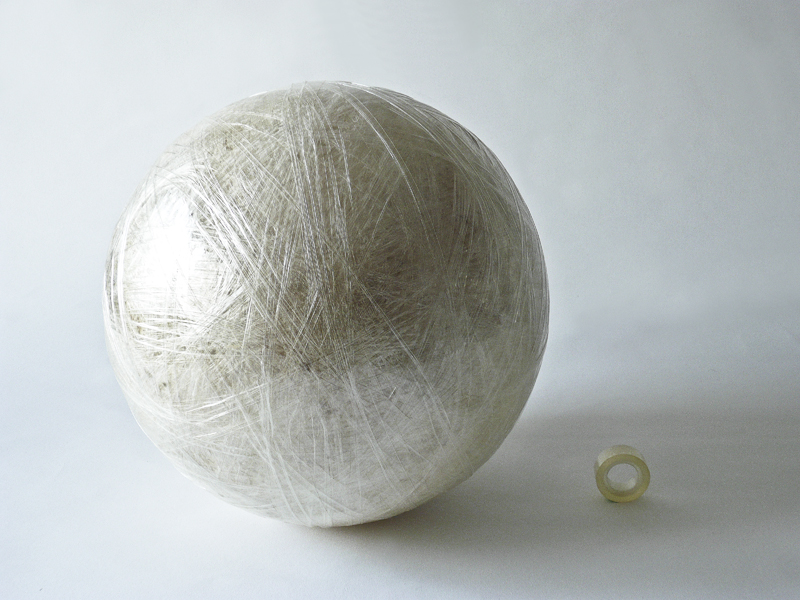 genetic fingerprint 002