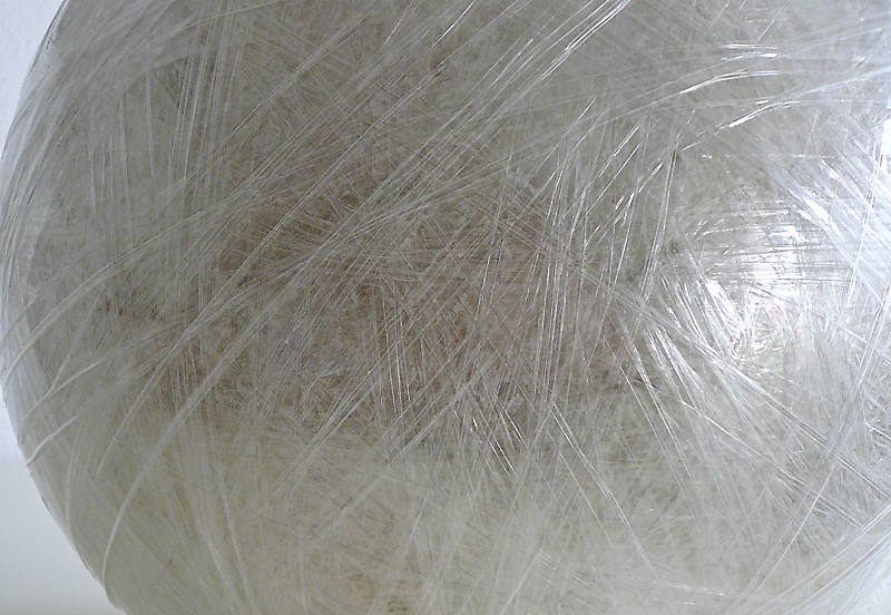 genetic fingerprint 003