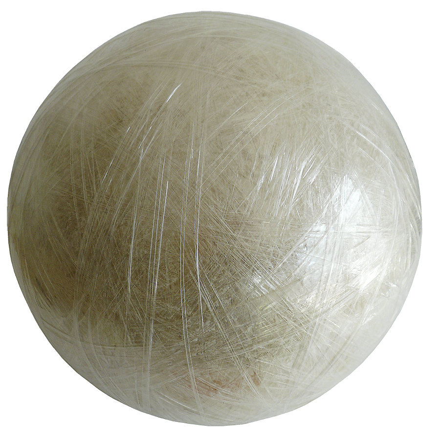 genetic fingerprint 015